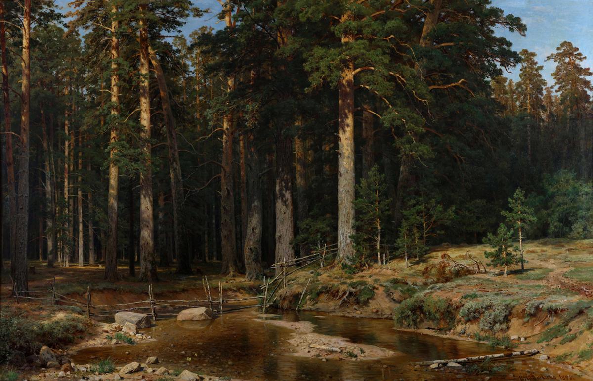 Корабельная роща, Ivan Shishkin, 1898