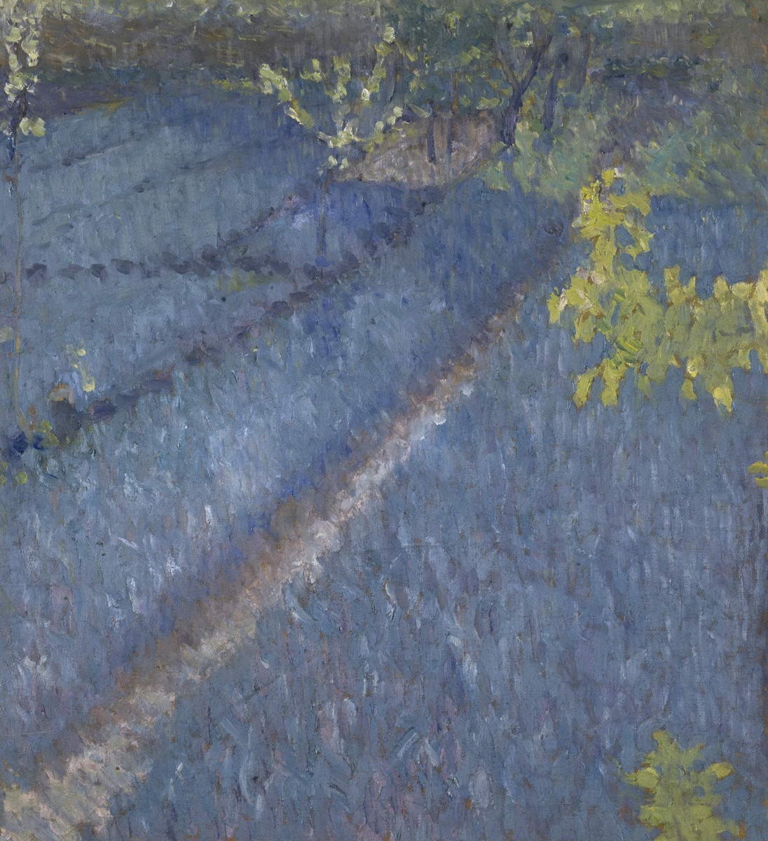 Сад, Mikhail Larionov, mid-1900s