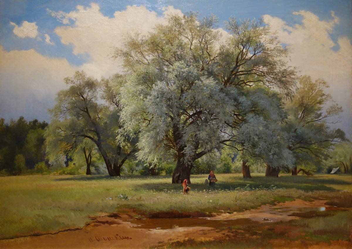 Ивы, освещенные солнцем, Ivan Shishkin, late 1860s – early 1870s