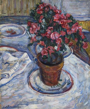 Азалии в горшке. Париж