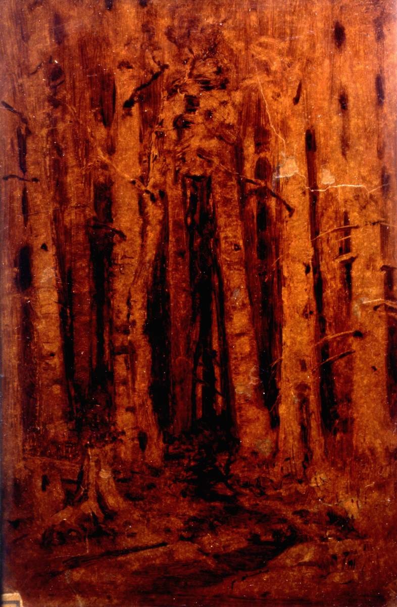 Лес, Arkhip Kuindzhi, between 1876 and 1890