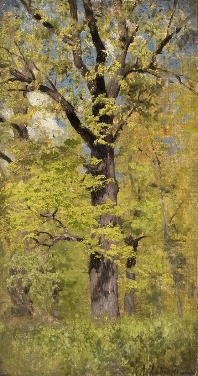 Распускающийся дуб, Isaac Levitan, first half of the 1880s
