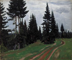 Road in a Fir Forest