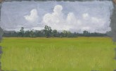 Лесная поляна. Крым