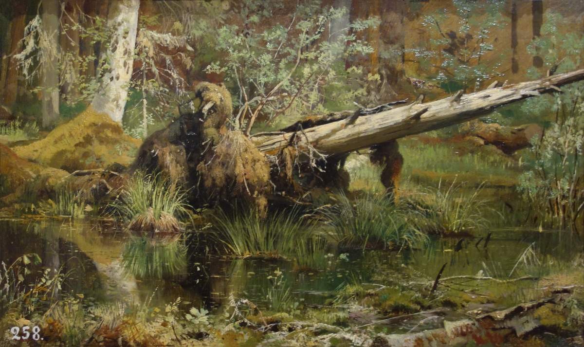Лес (Шмецк близ Нарвы), Ivan Shishkin, 1888