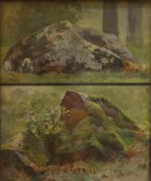 Камни