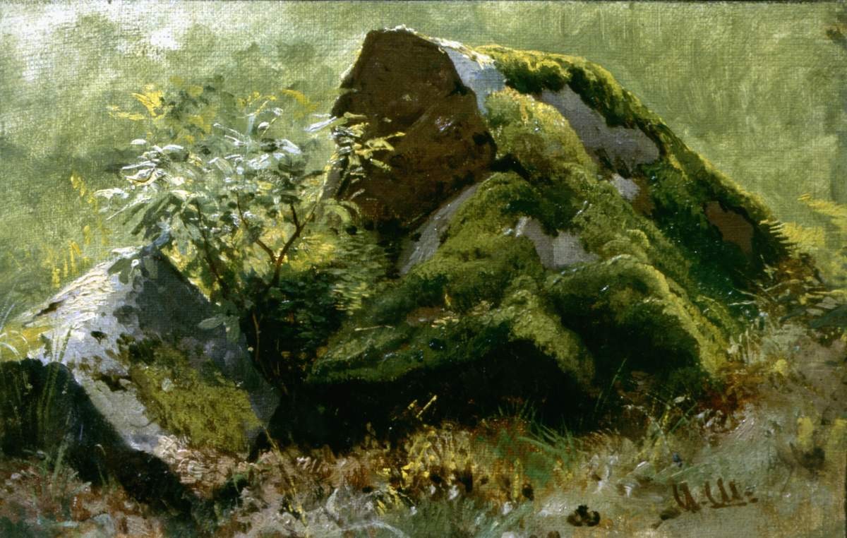 Камни, Ivan Shishkin, 1890s
