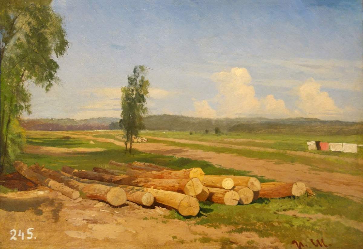 Бревна. Деревня Константиновка близ Красного села, Ivan Shishkin, 1868 (9?)