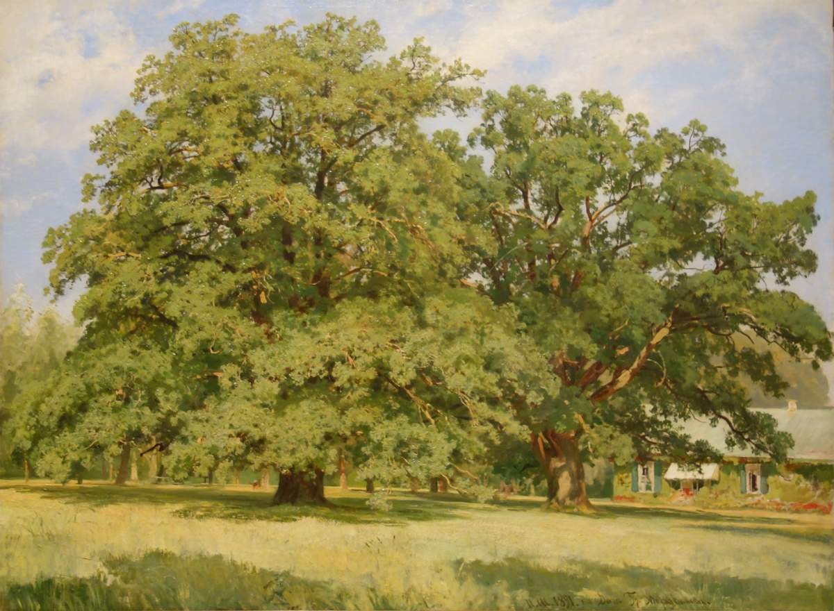 Мордвиновские дубы, Ivan Shishkin, 1891