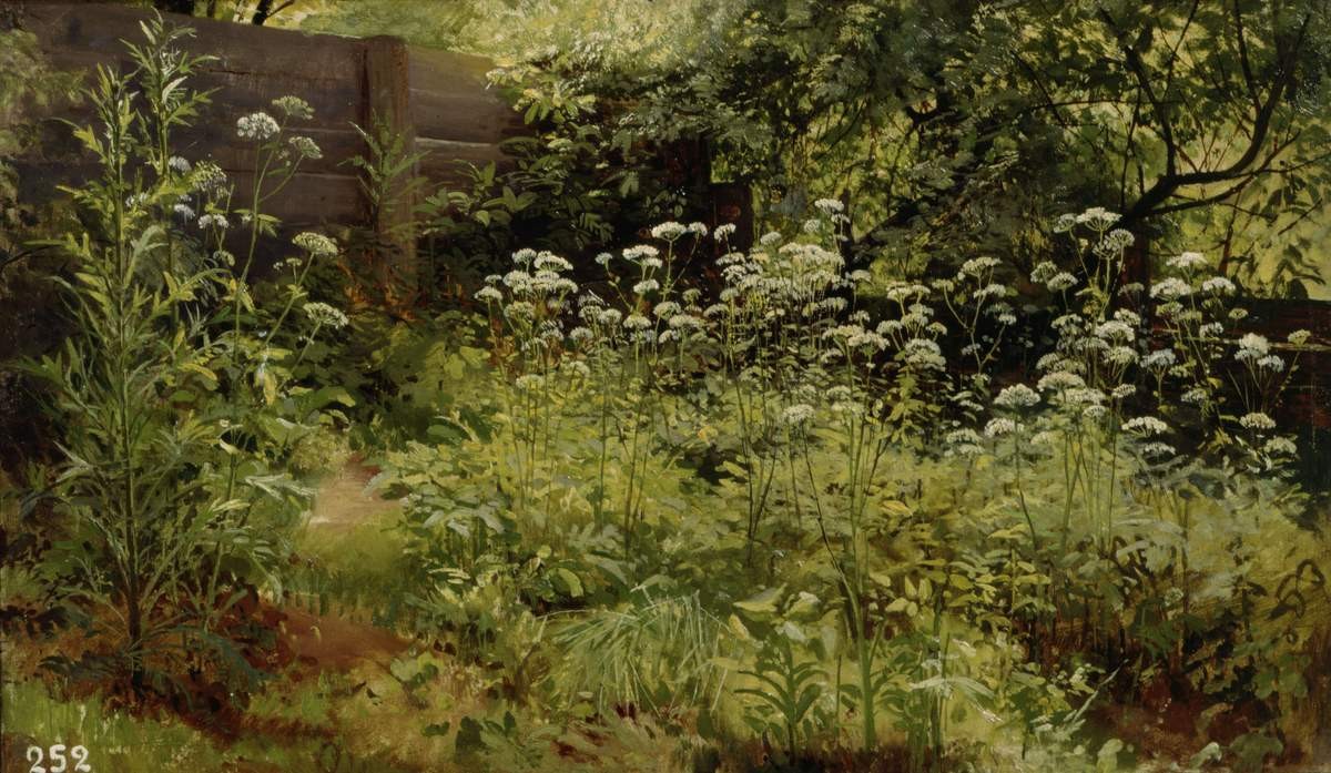 Сныть-трава. Парголово, Ivan Shishkin, 1884/1885?