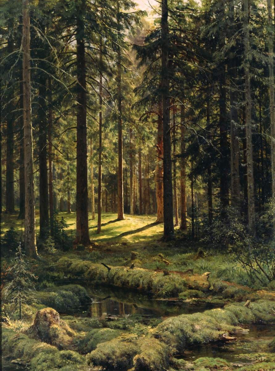 Хвойный лес. Солнечный день, Ivan Shishkin, 1895