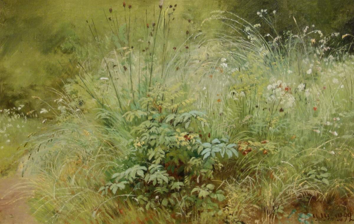 Травки, Ivan Shishkin, 1892