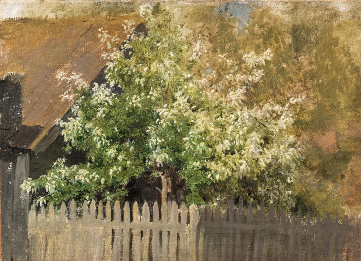 Черемуха, Isaac Levitan, early 1880s