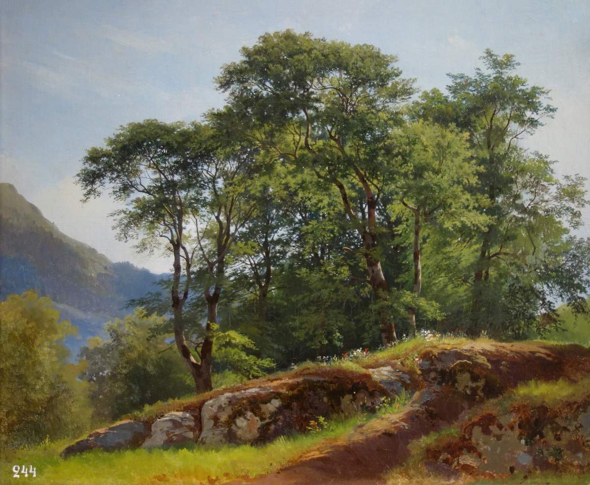 Буковый лес в Швейцарии, Ivan Shishkin, 1863