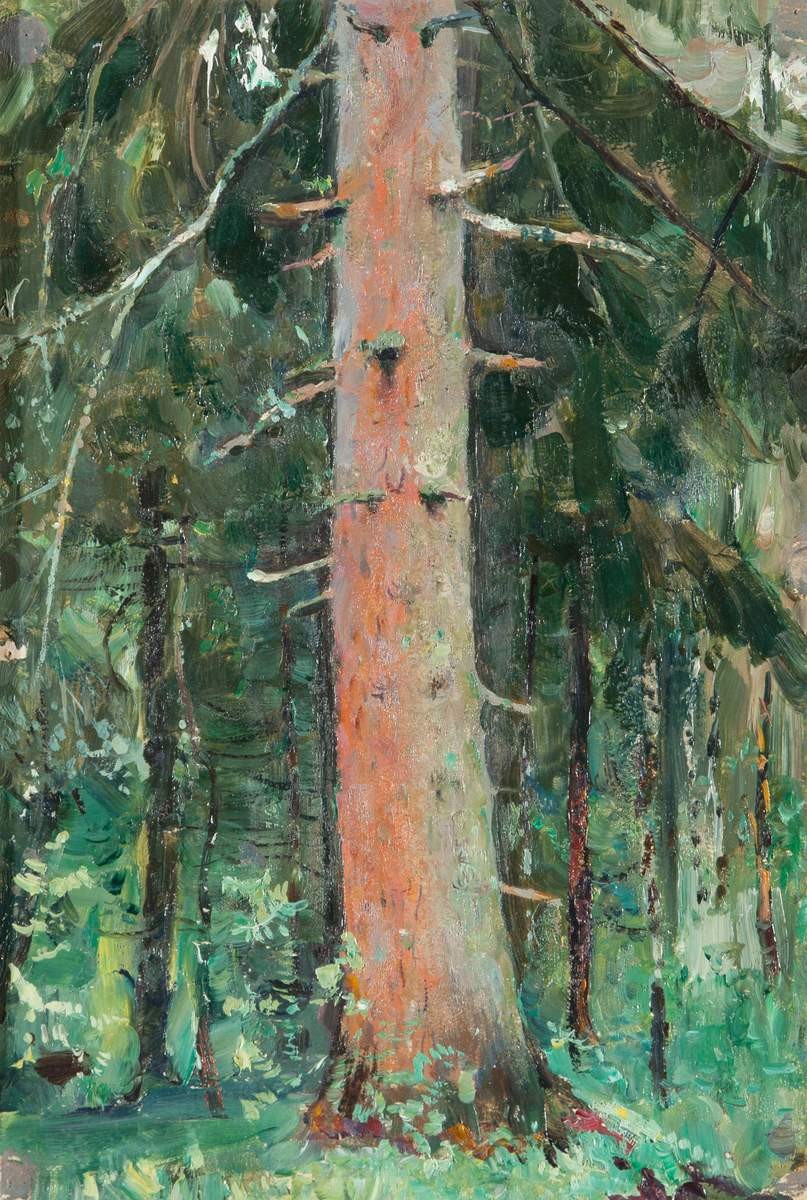 Сосна, Mikhail Nesterov, no later than 1921