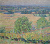 Пейзаж близ Окуловки