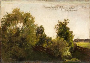 Деревья и кусты