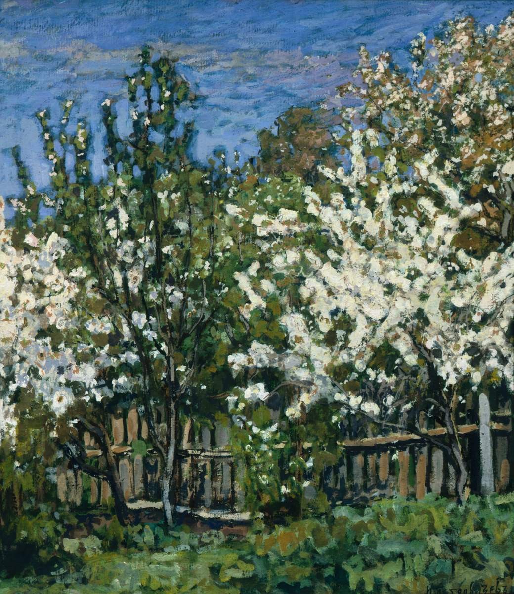 Цветущие вишни, Petr Petrovichev, 1911