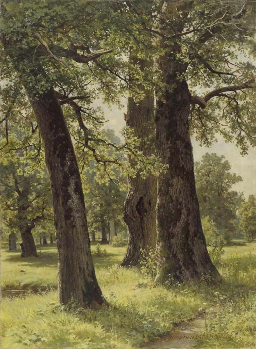 Дубы, Ivan Shishkin, 1887