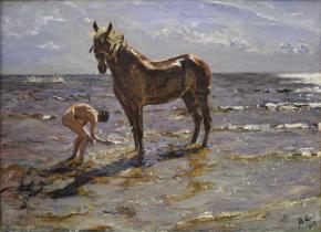 Bathing a Horse