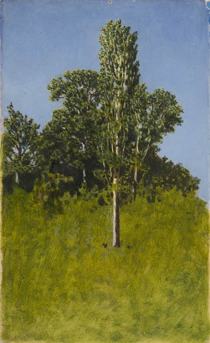 Деревья, Arkhip Kuindzhi, 1890s