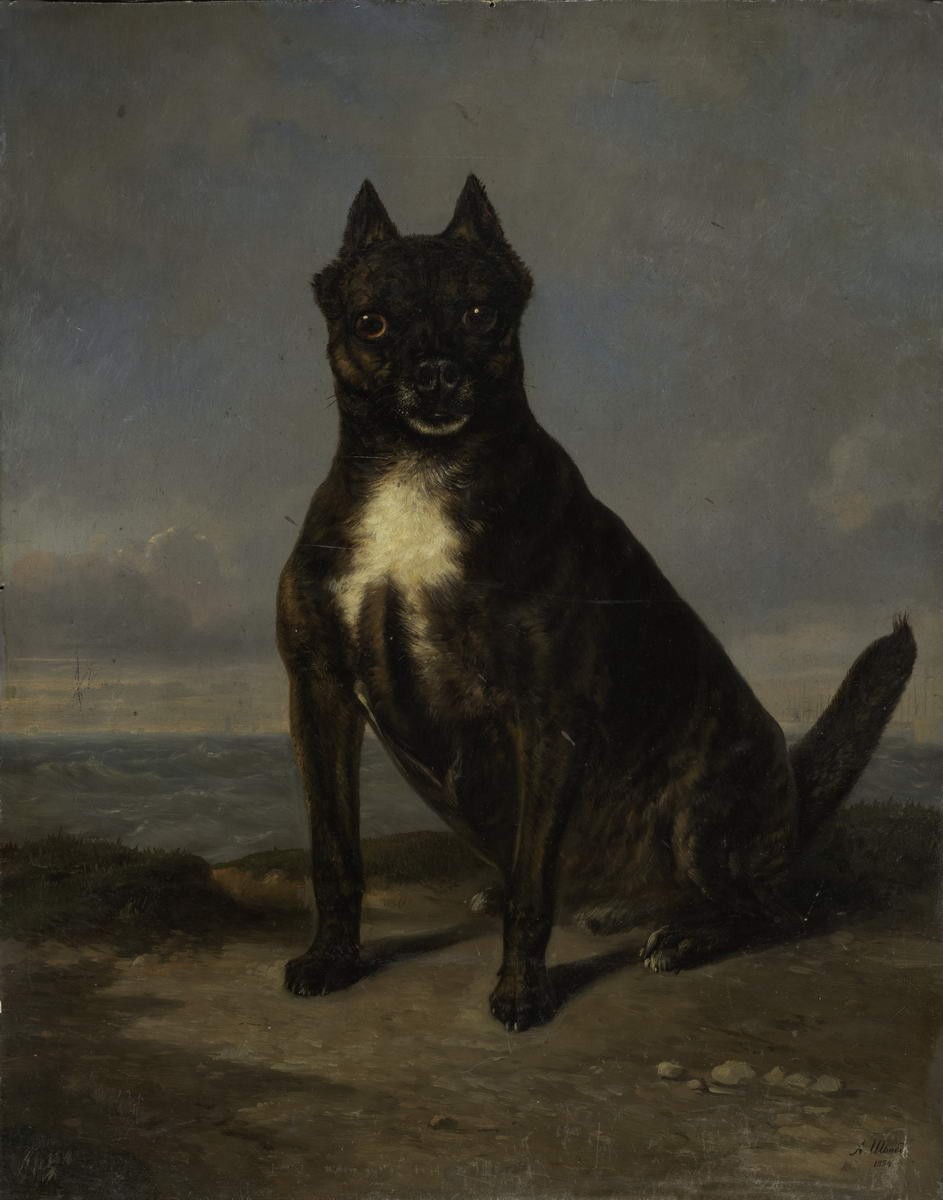 Собака, Alexander Schwabe, 1854
