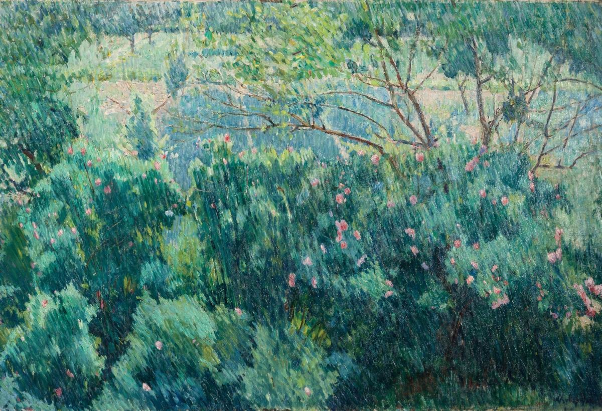 Розовый куст после дождя, Mikhail Larionov, 1904