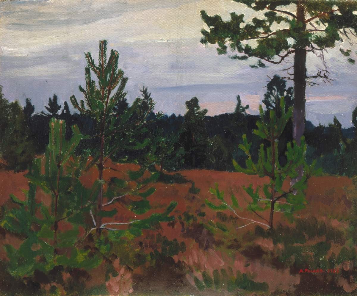 Сосенки и вереск, Arkady Rylov, 1923