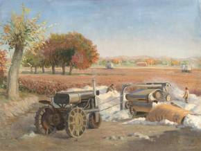 Узбекистан. На хлопковом поле