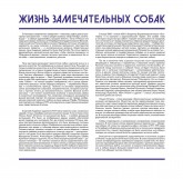О выставке